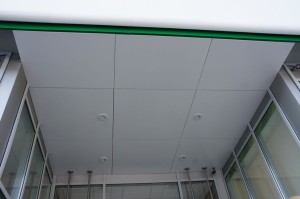SONY DSC